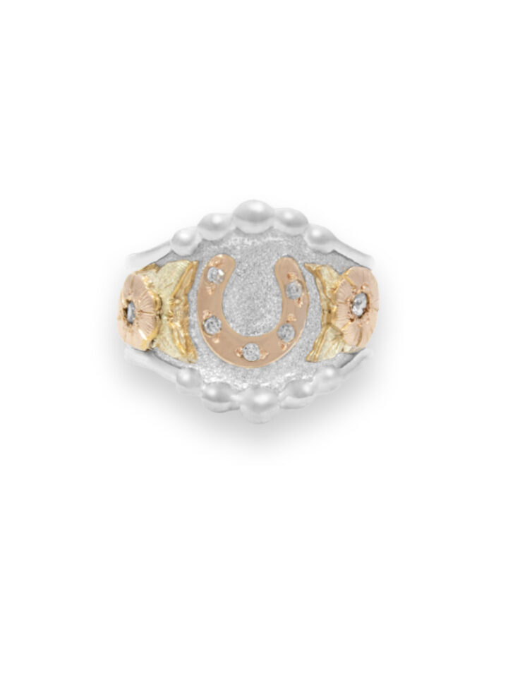 Rose Gold Horseshoe, Yellow Gold Scrolls with Silver Background