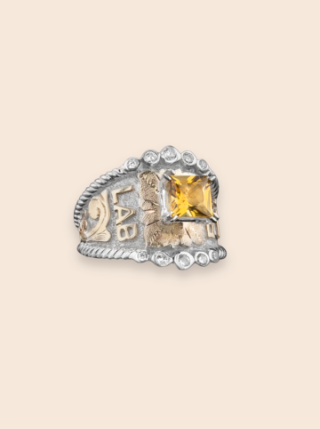 BSR028A-Citrine Stone