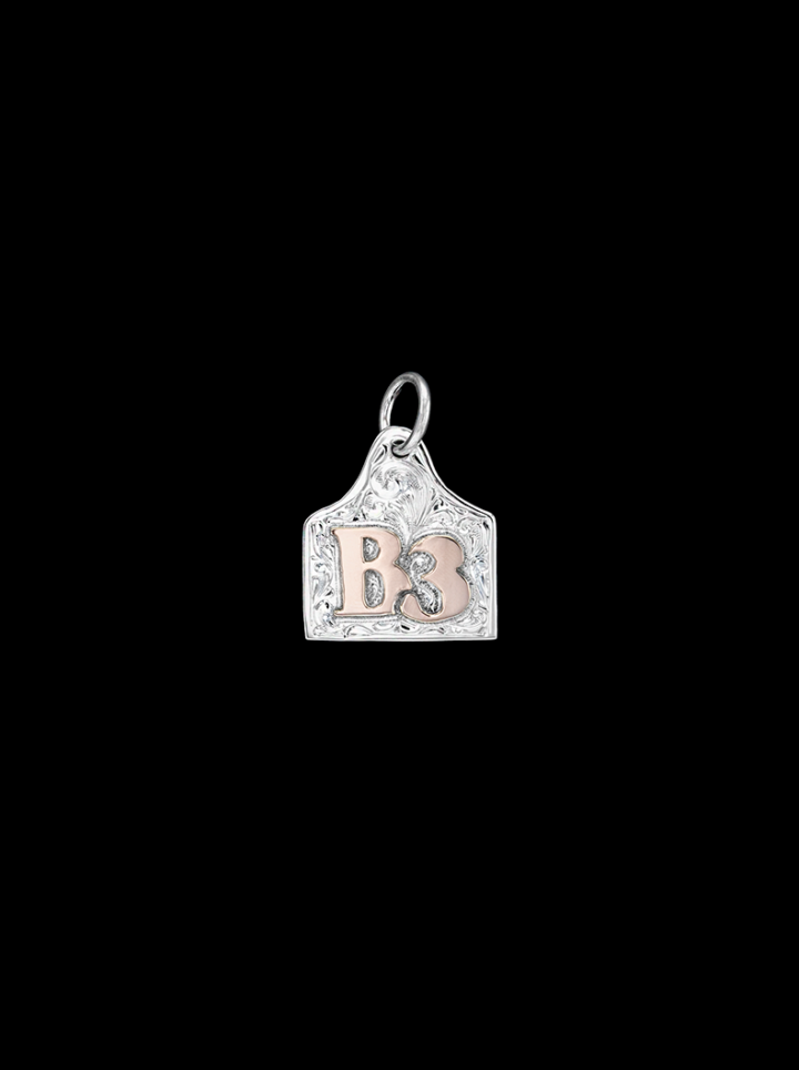 BSPNCT1 Dog tag Pendant Product Image