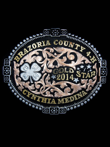 Rose Gold Scrolls on Black Background, Yellow Gold Lettering, Silver Stars, Silver 4-H Figure, Beaded/Framed Berry Bead Edge