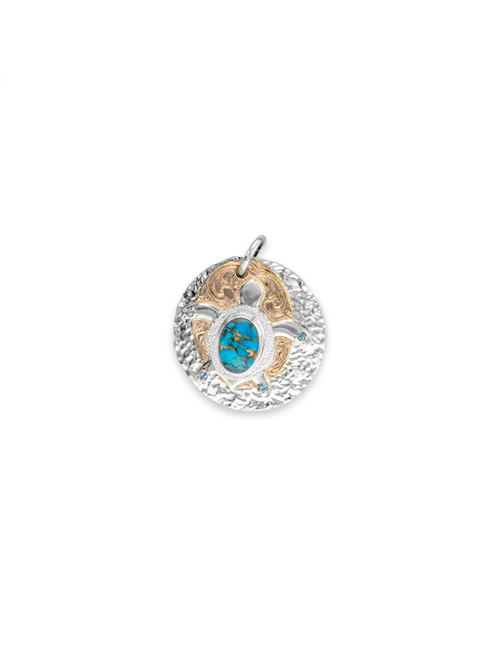 RRP034-ST Sea Turtle-Recovered for the website