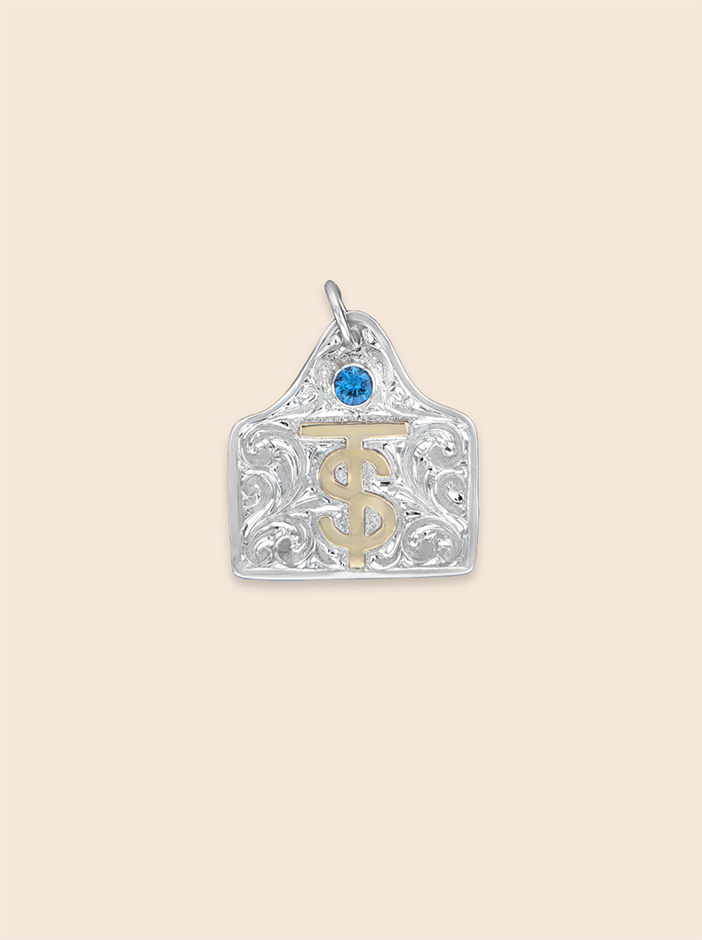 BSPNCT1-L Blue Topaz Stone