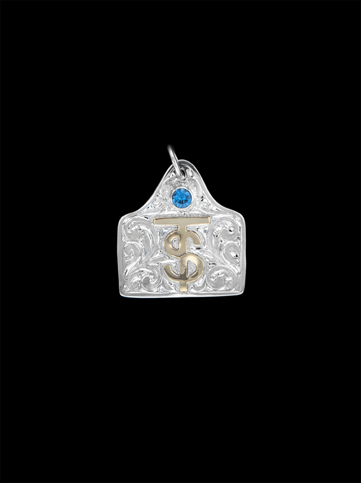 BSPNCT1-L Blue Topaz Stone